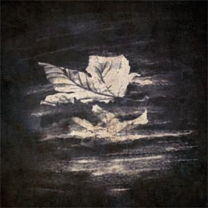 EDIEH : In Case the Winds Blow...